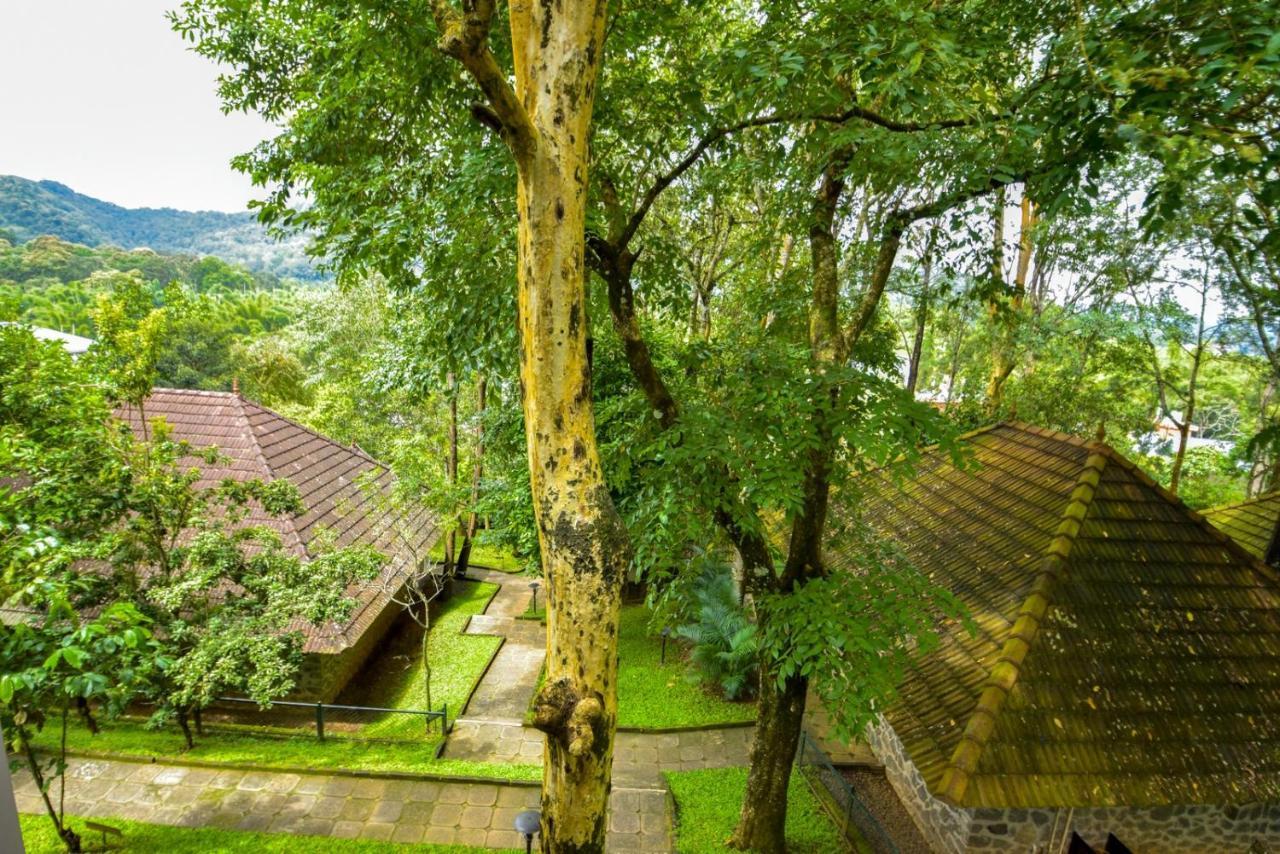 Hotel Treetop Теккаді Екстер'єр фото
